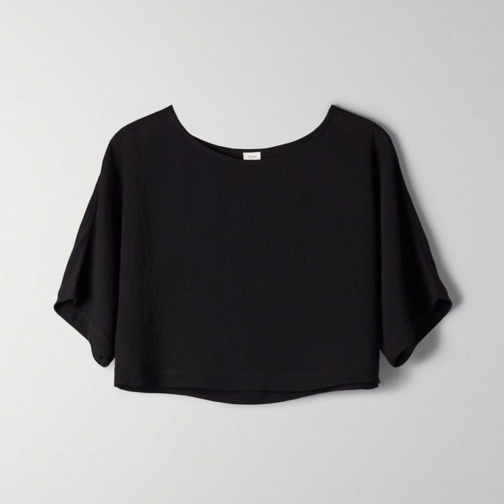Aritzia Wilfred Blayze Blouse